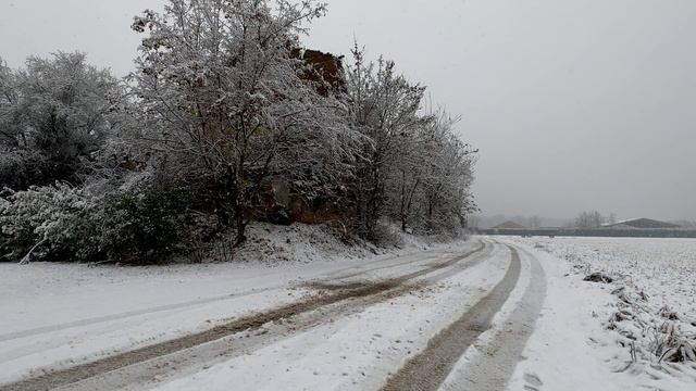 6086263-uhd_3840_2160_30fps