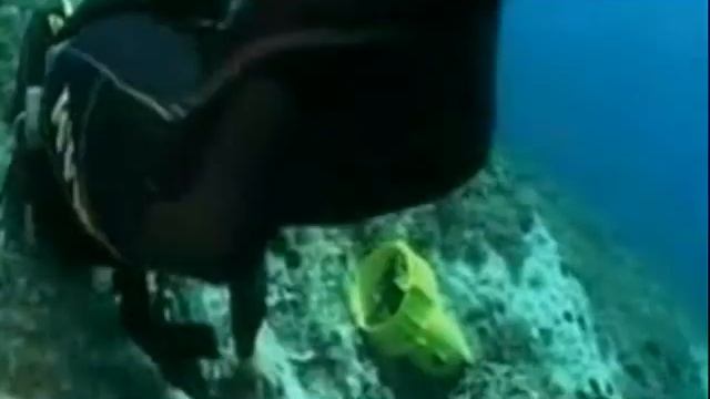 Tg leonardo bombe belliche sui fondali del mar adriatico.wmv