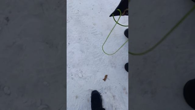 ПИПИНДУРЫ 5 СЕРИЯ (1 ЧАСТЬ)
ЗАРАЖЕНИЕ