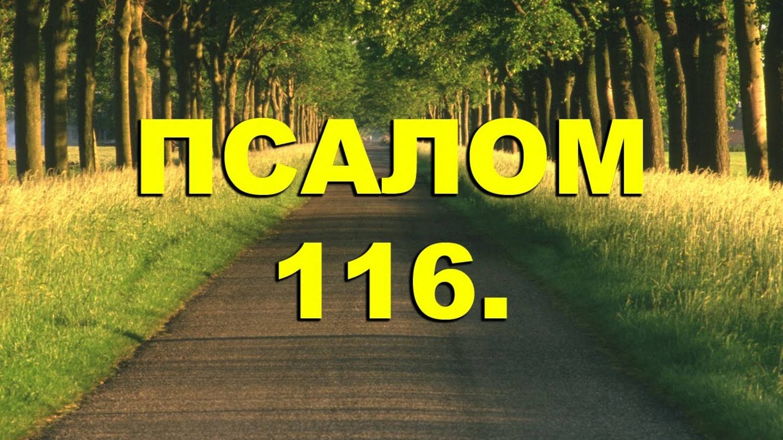 Песня: "Хвалите Господа все народы" (Псалом 116 гл.)