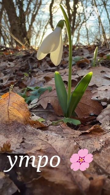 Shorts Привет из Крыма от неидеальной женщины на пенсии🌸🌊👋