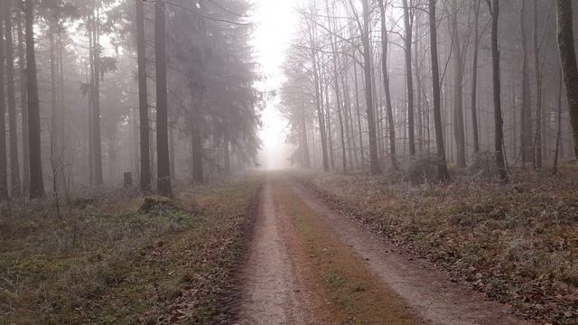 6066349-uhd_3840_2160_30fps