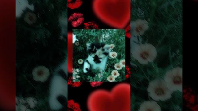 тринадцать карат - только ты никогда не узнаешь