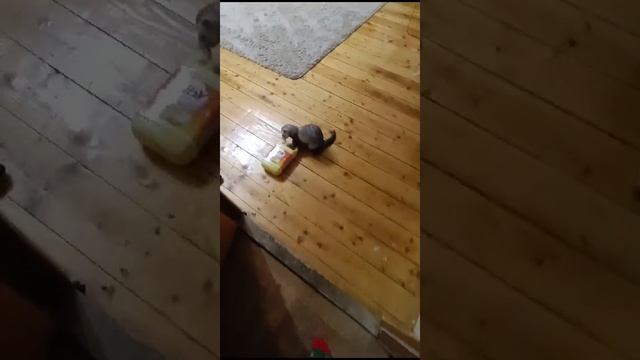 1000173616.mp4