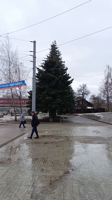 Площадь Партизан. Брянск. 9 января 2025.