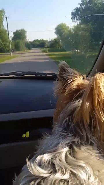 в машине