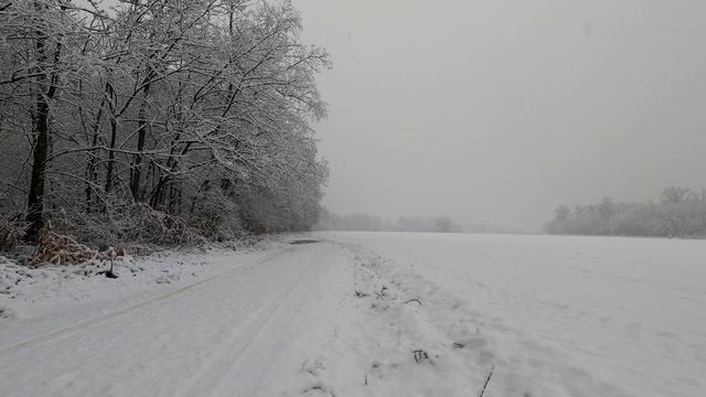 6088888-uhd_3840_2160_30fps
