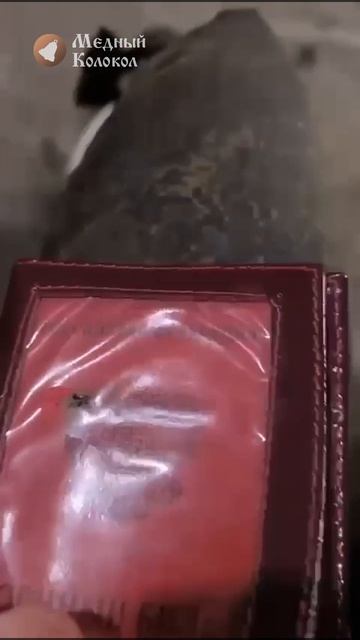 Образ Богородицы в военном билете спас русского бойца от верной смерти