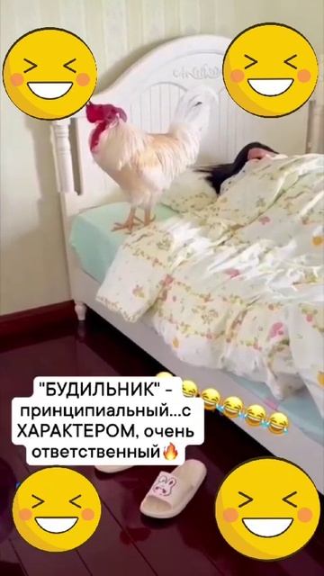 Назойливый будильник