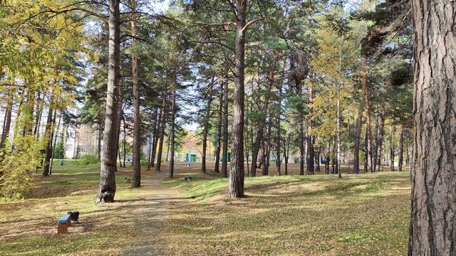 Осень в парке. Осенний футаж.