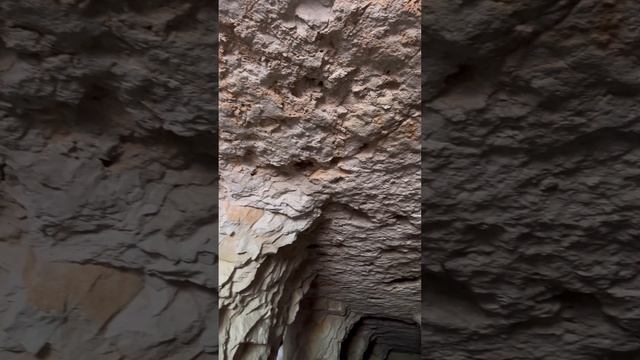 Психологический туризм. Слет Наставников 2024