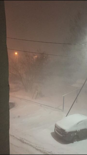 "Крещенские бураны". 21.01.25.