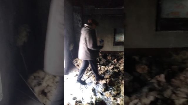 Циклопических размеров бетонный ангар над бомбоубежищем в лесу