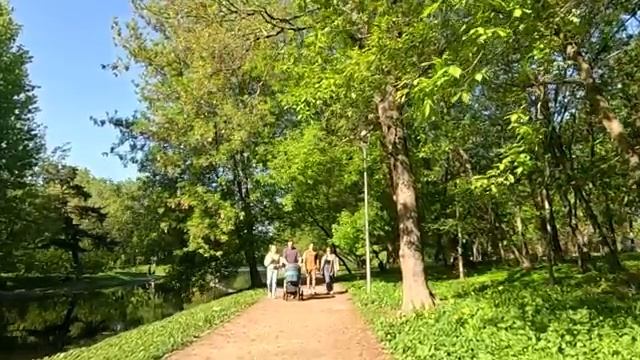 Получив в наследство ресторан, притворилась посудомойкой… А увидев на записи камер бродягу с малышом