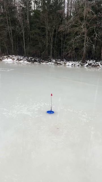21-01-2025
