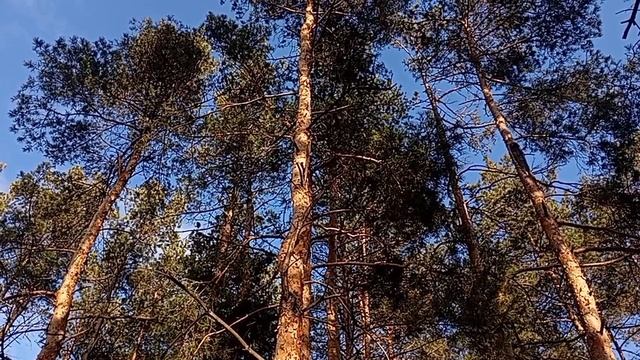 Свежим воздухом решил подышать...🙂