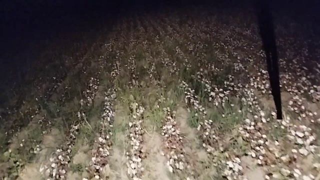 28 сентября 2023 г.