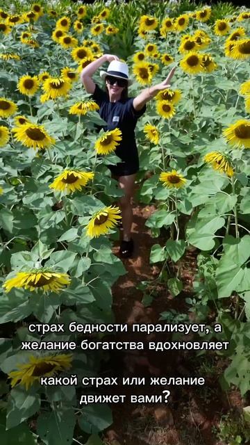 Ставь 💛 и подписывайся😉