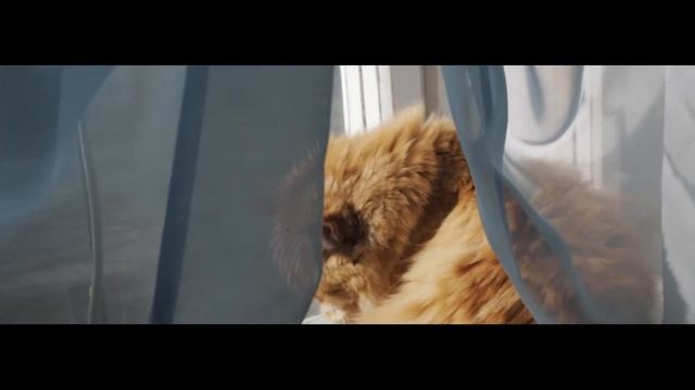 Test 5d mark II video