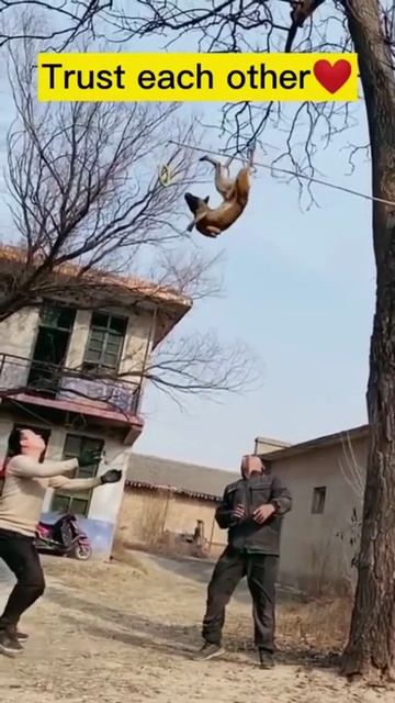 _pryzhka_s_aktivirovannym_rezhimom_polyota_yapfiles.ru