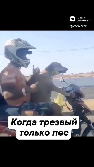 Когда спрасили кто трезвый