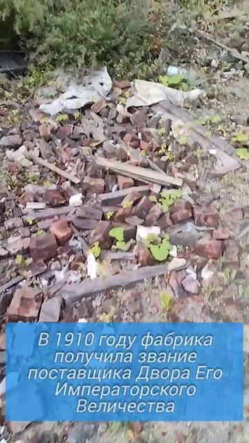 Красный (не Бермудский) треугольник #shorts