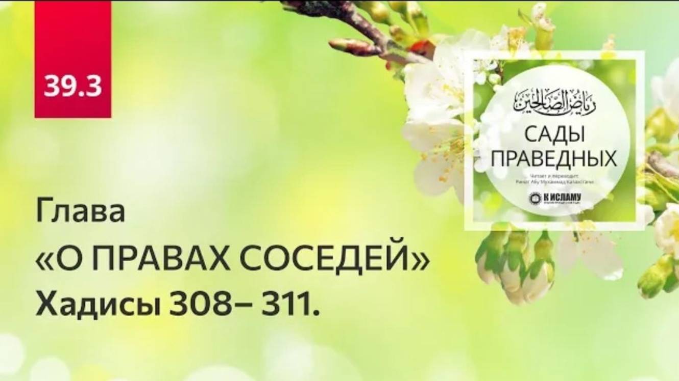 39.3 Глава о правах соседей. Хадисы 308– 311. Сады праведных. Ринат Абу Мухаммад