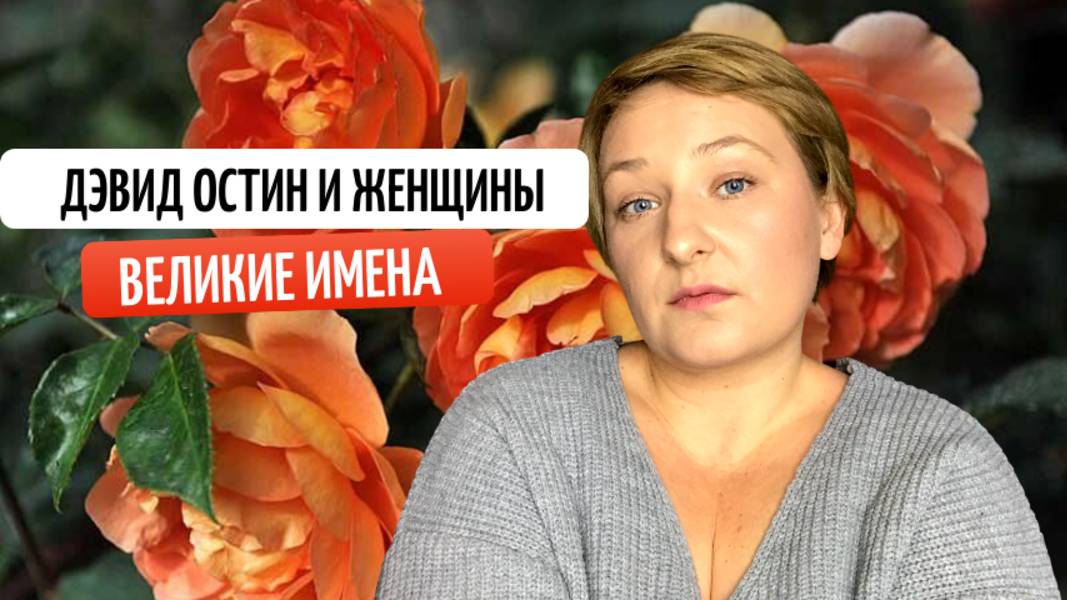 Розы Дэвида Остина с именами великих женщин| обзор сортов и имен.