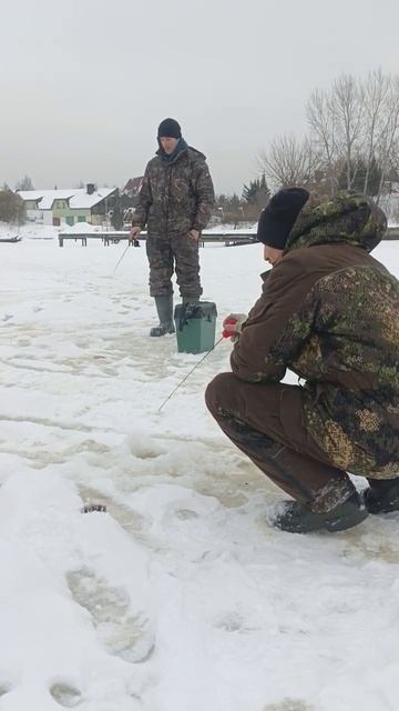 #рыбалка #зимняяловлярыбы