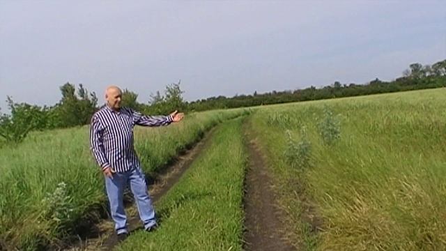 С Днем России