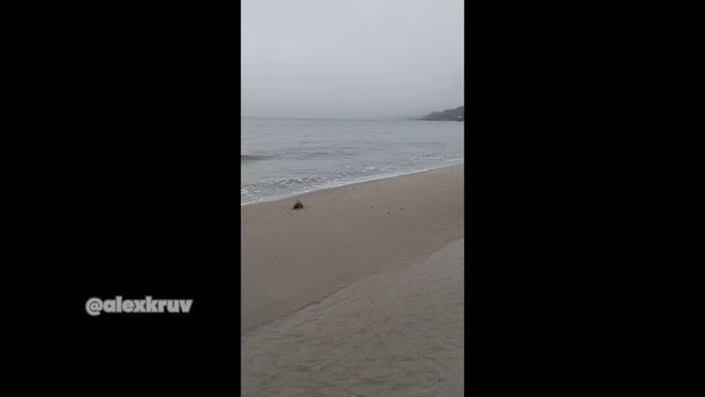 Вечер на море в Пионерском.