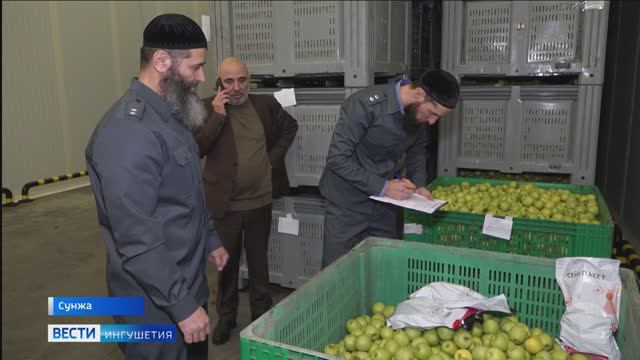 Сотрудники Россельхознадзора проверяют качество продукции