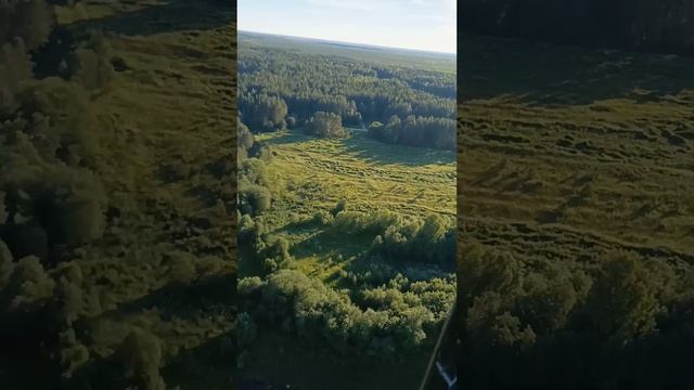 1000231007.mp4
