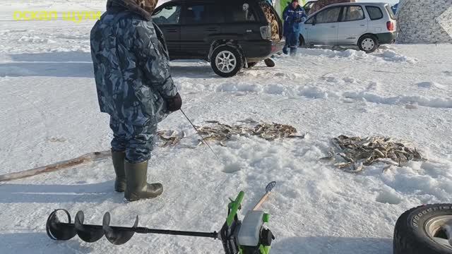 Рыбалка на навагу, корюшку на льду. Морские просторы.