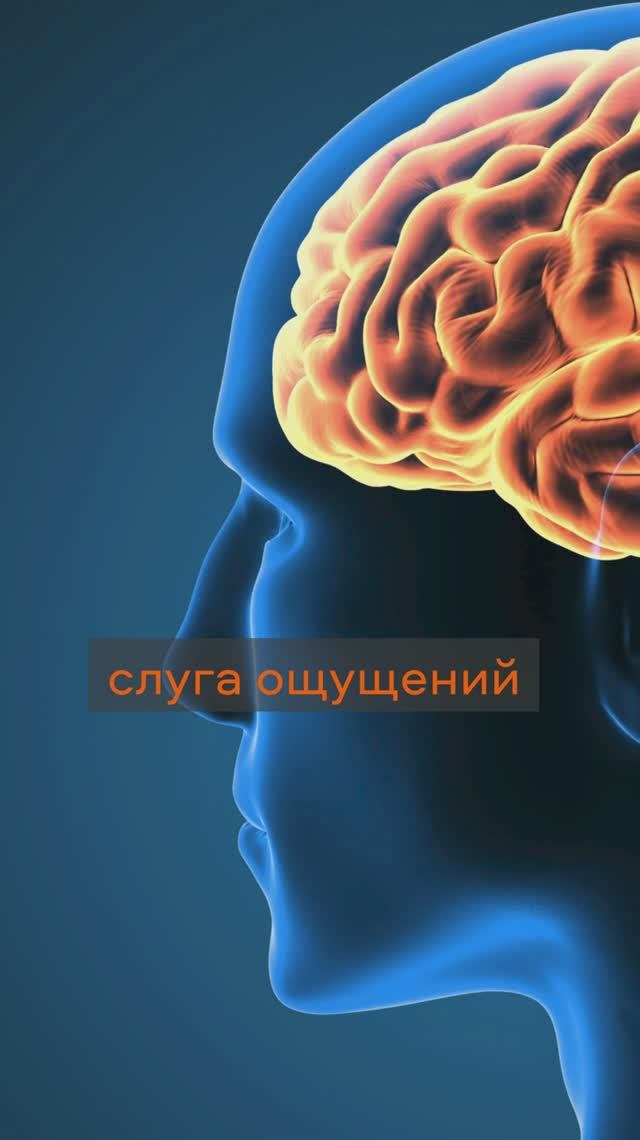 слуга ощущений