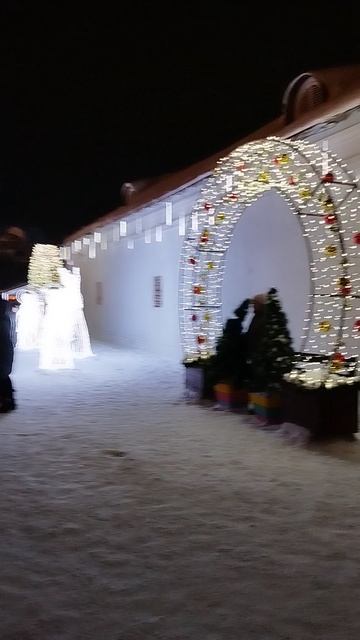 Новогодние гуляния в Омске