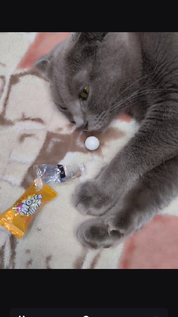 это видео одно