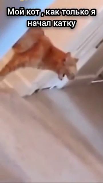 Нууу как всегда 😡