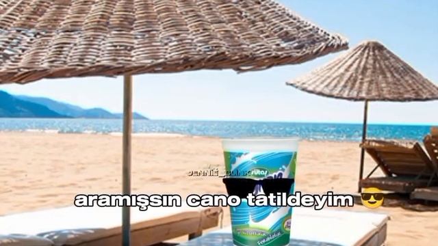 şalgam -çiğ köfte vs ayran-döner