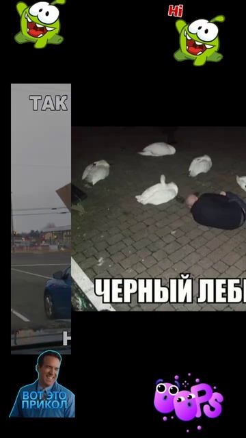 ПОДБОРКА ПРИКОЛОВ🤣🤣🤣