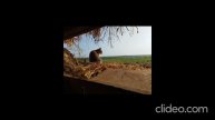 Мама, не плачь обо мне