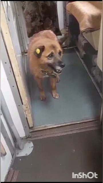 Люблю его ❤️ ❤️ ❤️