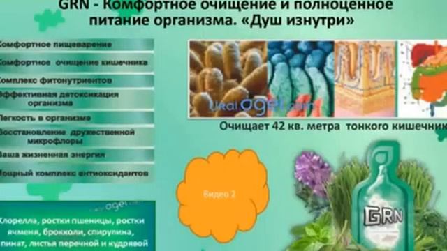 Программа снижения веса с AGEL  !!! FIT Challenge   М Луговских 28 05 14