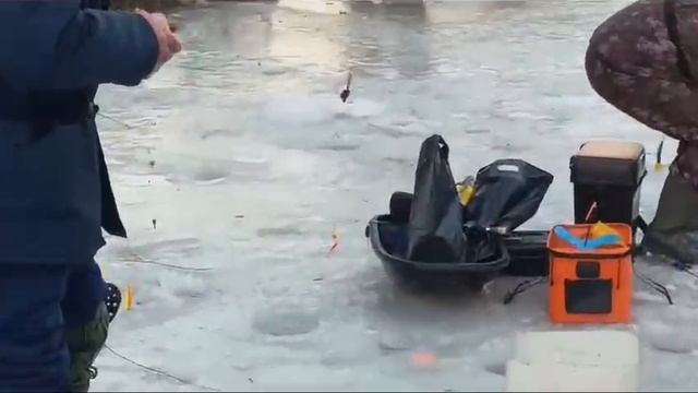 21.01.25 г. Парк отдыха водопад