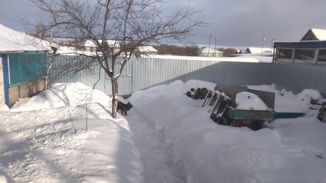 моя деревенская жизнь