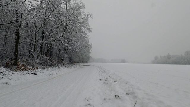 6076331-uhd_3840_2160_30fps