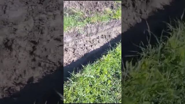 жду когда вода уйдёт