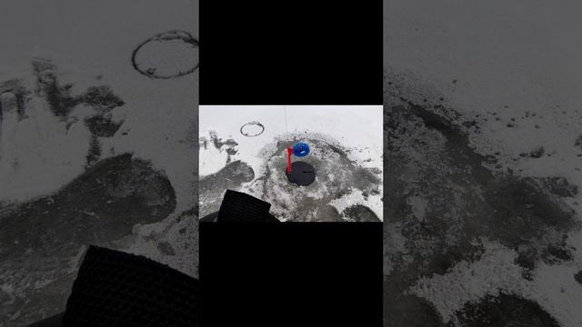 Надежда была!