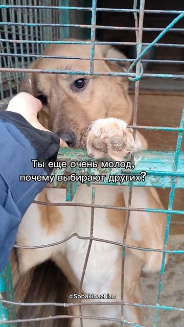 Почему?