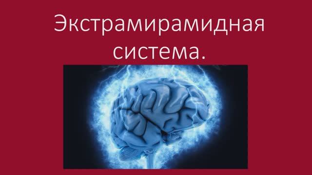 Экстрамирамидная система